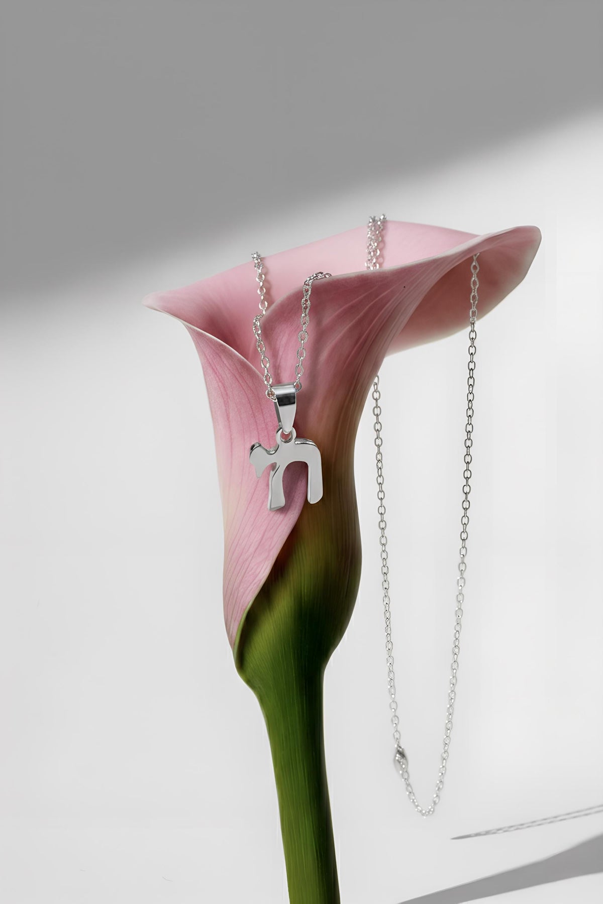 Stainless steel Chai necklace