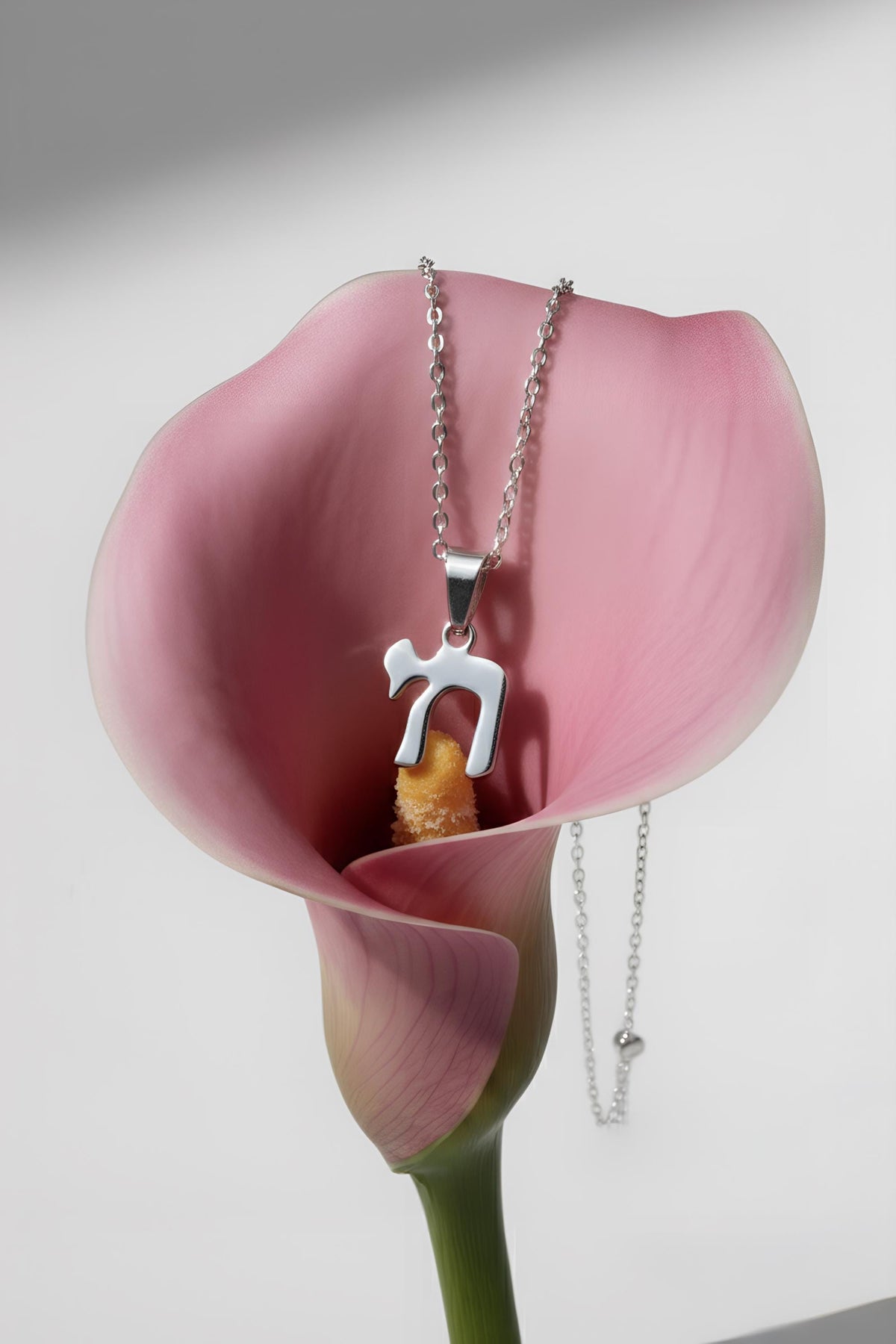 Stainless steel Chai necklace worn